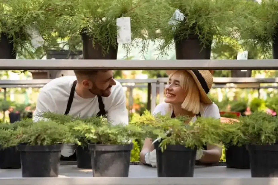 large outdoor pots